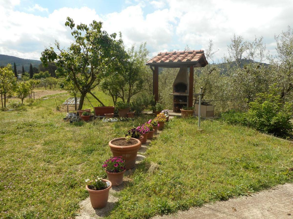 Apartamento Poggio Fiorito Castiglion Fiorentino Exterior foto