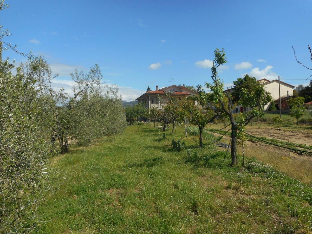 Apartamento Poggio Fiorito Castiglion Fiorentino Exterior foto
